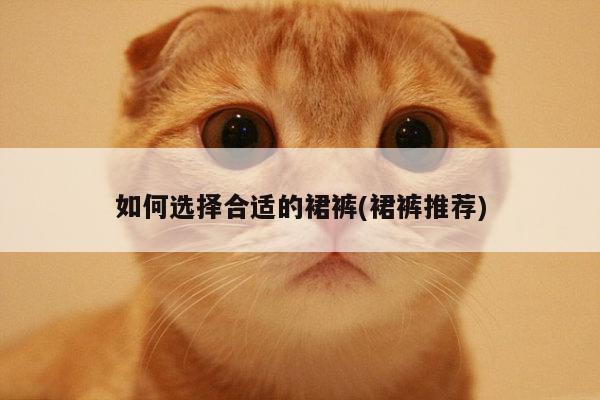 如何选择合适的裙裤(裙裤推荐)