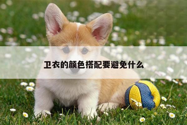 卫衣的颜色搭配要避免什么