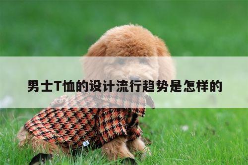 男士T恤的设计流行趋势是怎样的