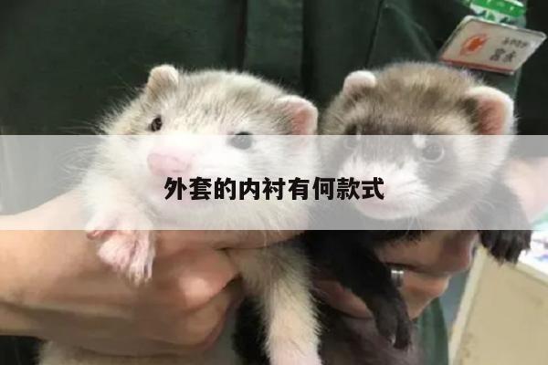 外套的内衬有何款式