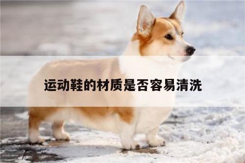 运动鞋的材质是否容易清洗