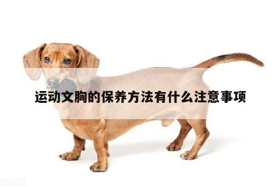 运动文胸的保养方法有什么注意事项