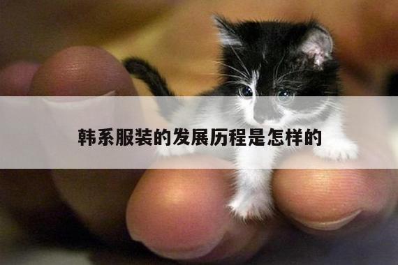 韩系服装的发展历程是怎样的