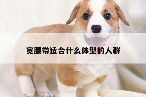 宽腰带适合什么体型的人群