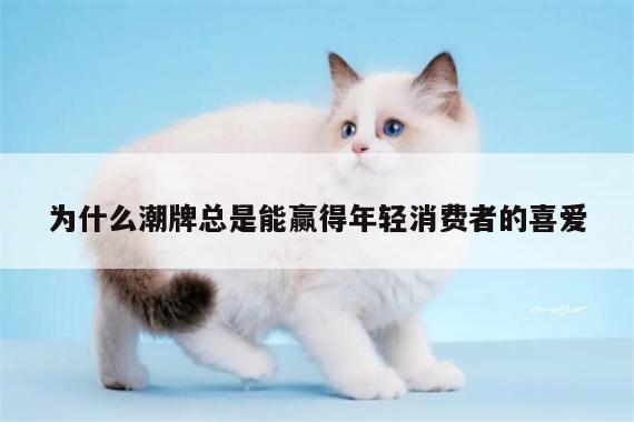 为什么潮牌总是能赢得年轻消费者的喜爱